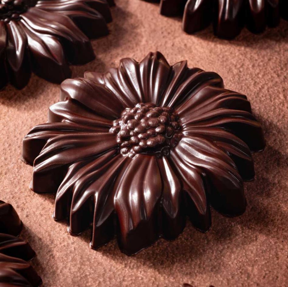 Daisy Chocolate